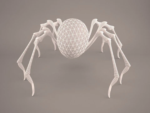 Lycosa Tarantula 3D Model