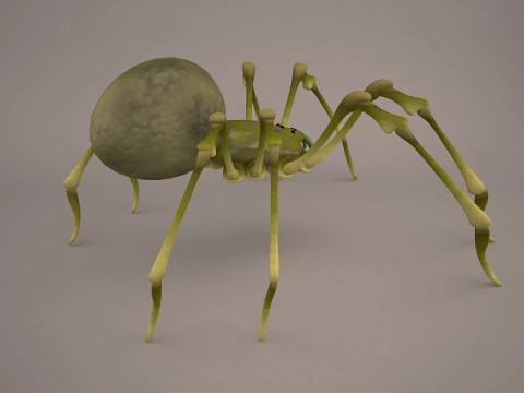 Lycosa Tarantula 3D Model