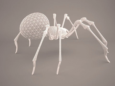 Lycosa Tarantula 3D Model