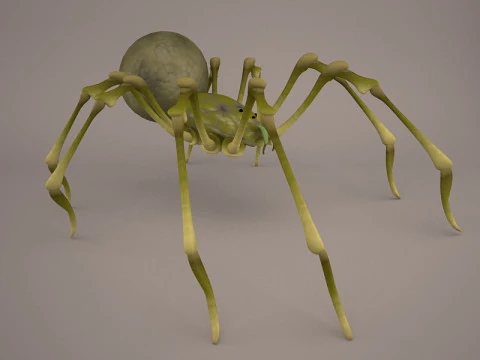 Lycosa Tarantula 3D Model