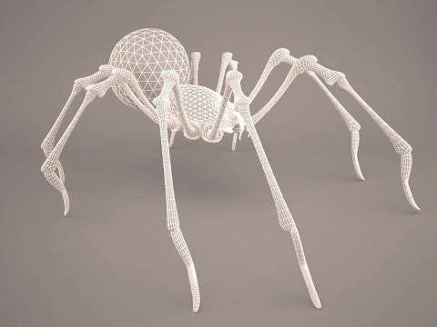 Lycosa Tarantula 3D Model
