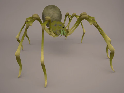 Lycosa Tarantula 3D Model