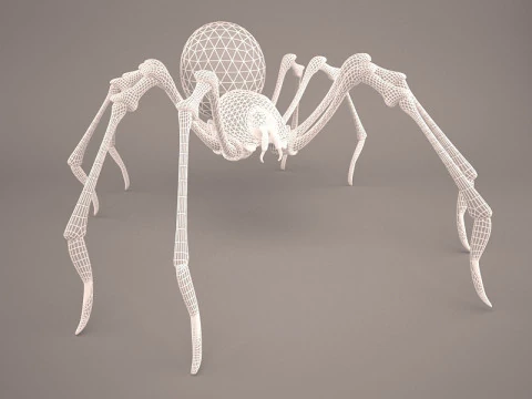 Lycosa Tarantula 3D Model