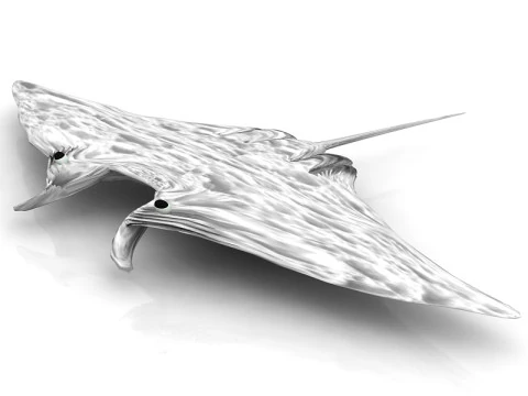 Postura de mantarraya Modelo 3D