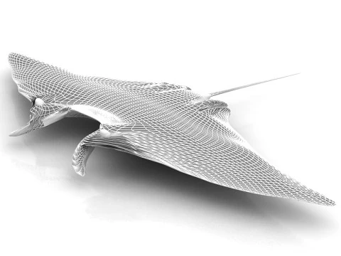 Manta Ray Pose 3D Model