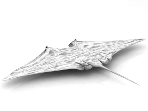 Manta Ray Pose 3D Model