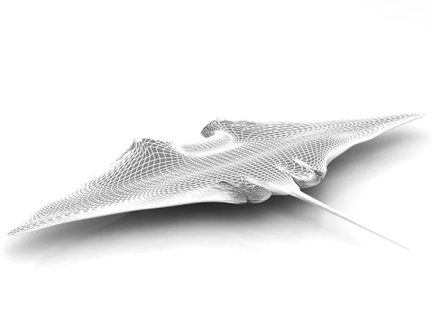 Manta Ray Pose 3D Model