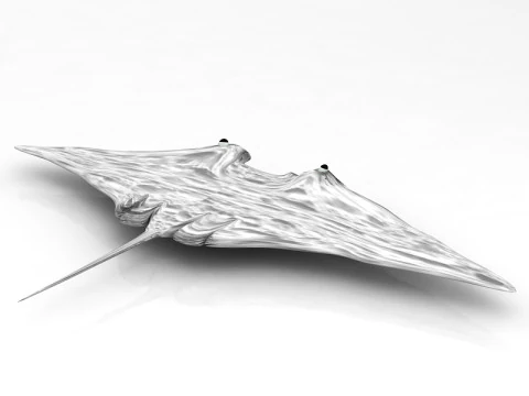 Manta Ray Pose 3D Model