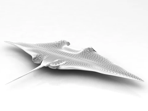 Manta Ray Pose 3D Model