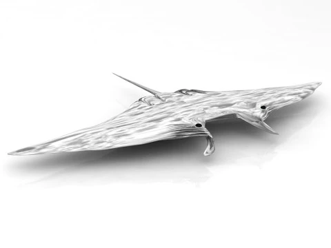 Manta Ray Pose 3D Model