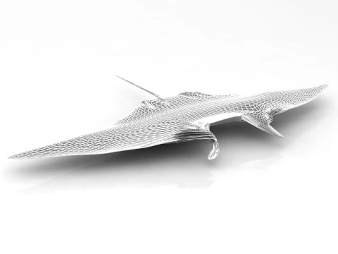 Manta Ray Pose 3D Model