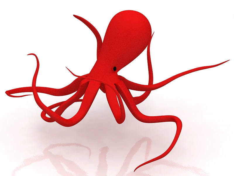 Octopus 3D Model .c4d .max .obj .3ds .fbx .stl .blend 