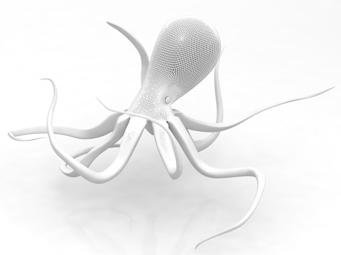 Ośmiornica Model 3D