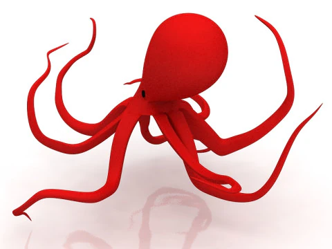 Octopus 3D Model