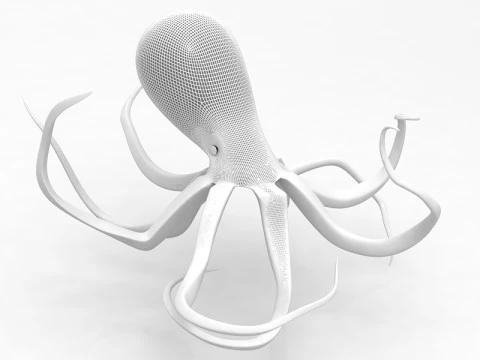 Octopus 3D Model