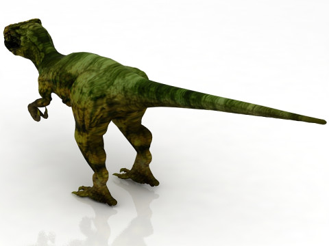Raptor Model 3D