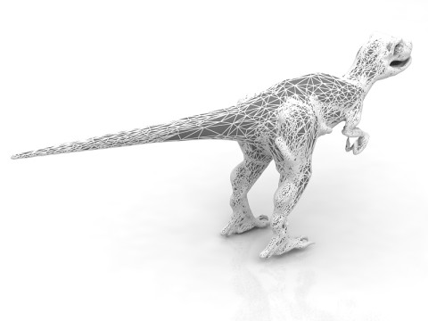 Raptor Model 3D