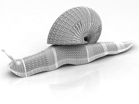 Snail 3D Model