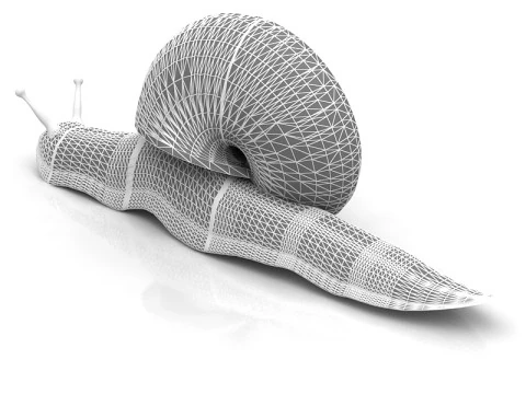 Snail 3D Model