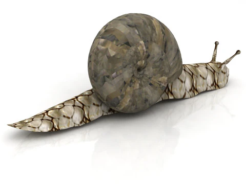 Snail 3D Model