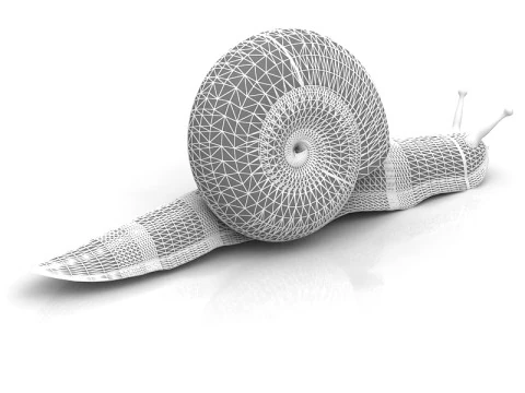 Snail 3D Model