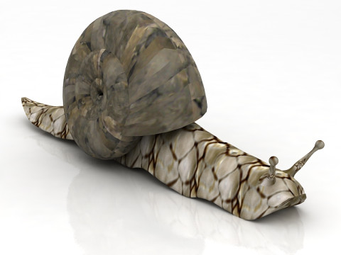 Snail 3D Model
