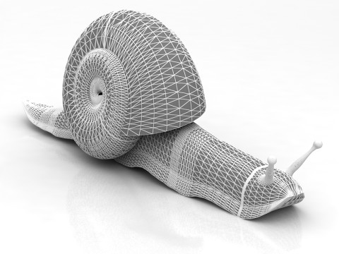 Snail 3D Model