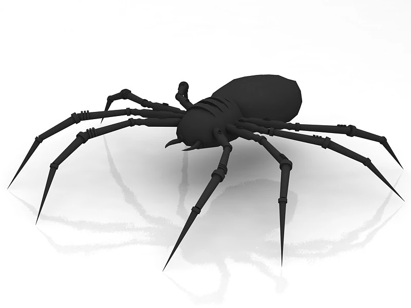 Spider 3D Model .c4d .max .obj .3ds .fbx .stl .blend 