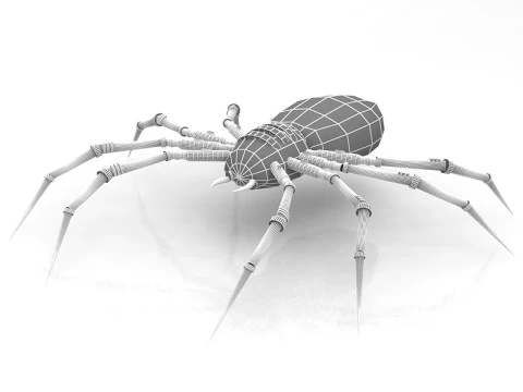 Spider 3D Model