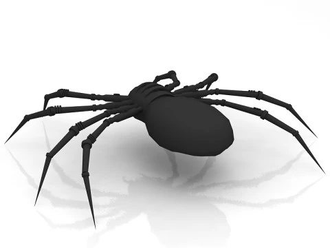 Spider 3D Model