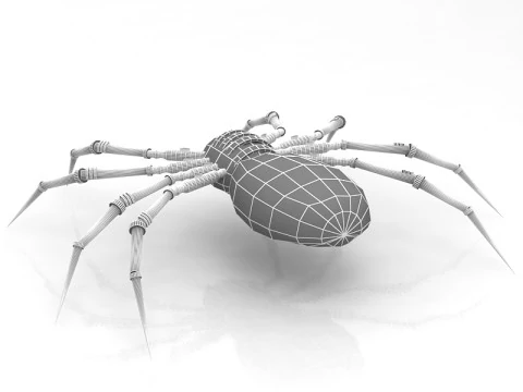 Spider 3D Model