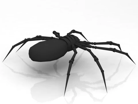 Spider 3D Model