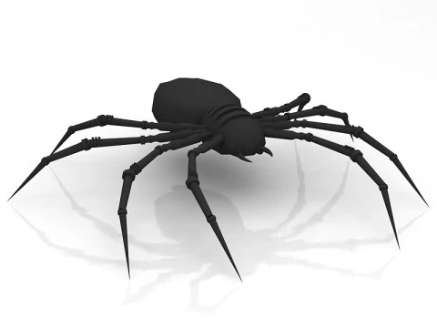 Spider 3D Model