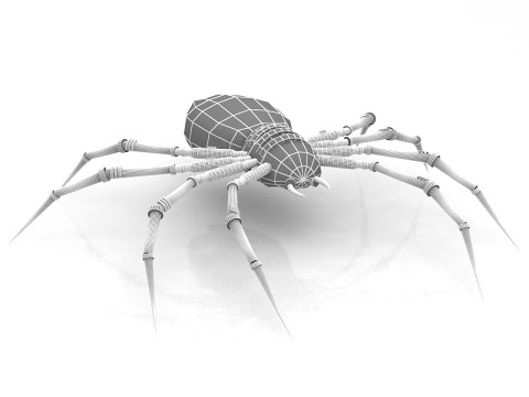 Laba-laba Model 3D