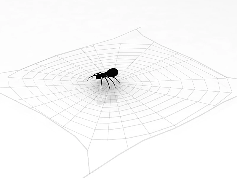 Spider 3D Model .c4d .max .obj .3ds .fbx .stl .blend 