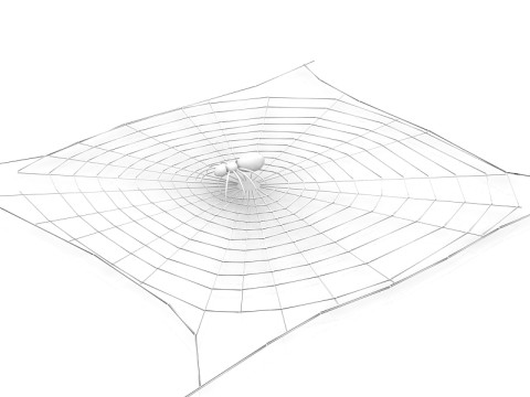 거미 3D 모델