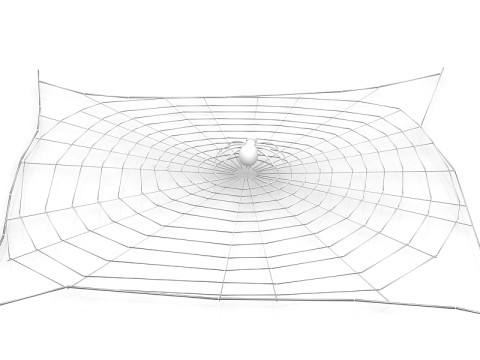 거미 3D 모델