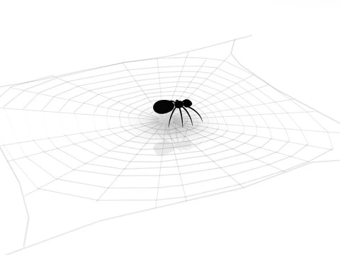 Spider 3D Model