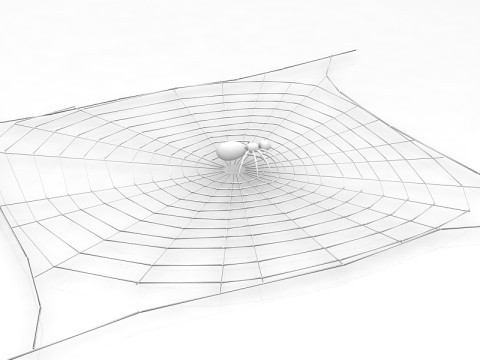 거미 3D 모델