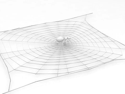Spider 3D Model