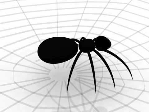 Spider 3D Model