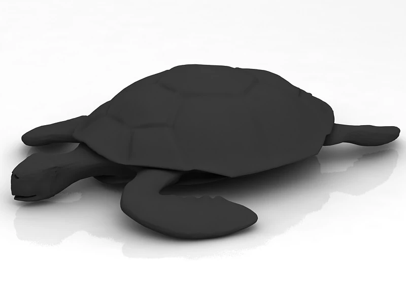 Loggerhead Sea Turtle 3D Model .c4d .max .obj .3ds .fbx .stl .blend 