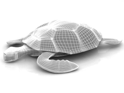 लॉगरहेड समुद्री कछुआ 3D मॉडल