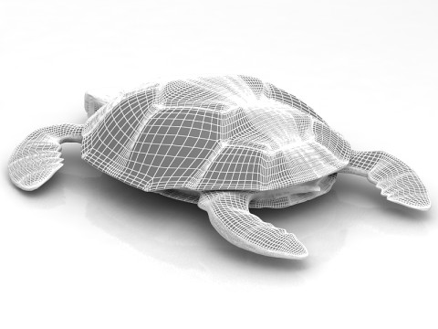 लॉगरहेड समुद्री कछुआ 3D मॉडल