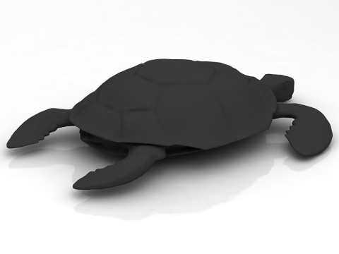 लॉगरहेड समुद्री कछुआ 3D मॉडल