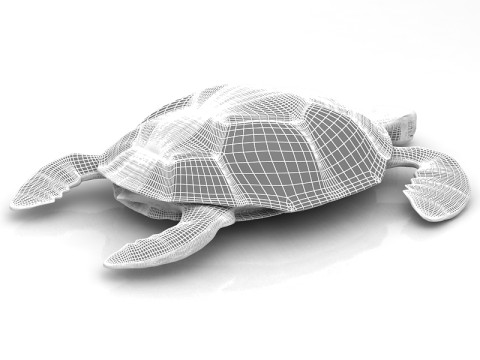 लॉगरहेड समुद्री कछुआ 3D मॉडल