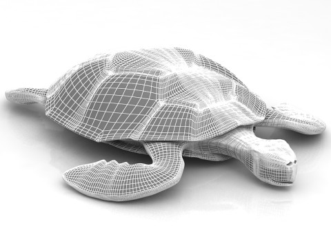 लॉगरहेड समुद्री कछुआ 3D मॉडल