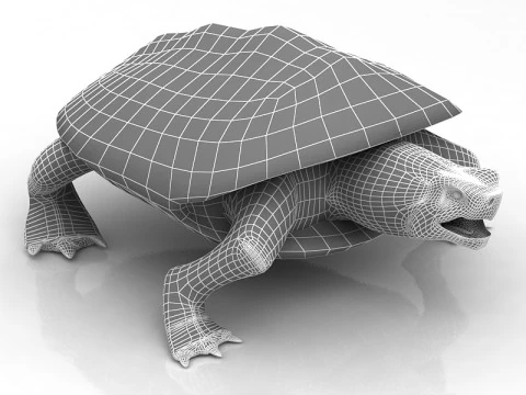 Tartaruga cabe&ccedil;uda Modelo 3D