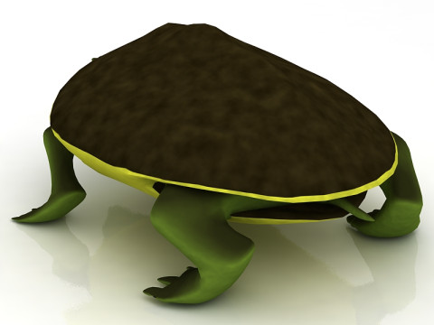 Tortuga boba Modelo 3D