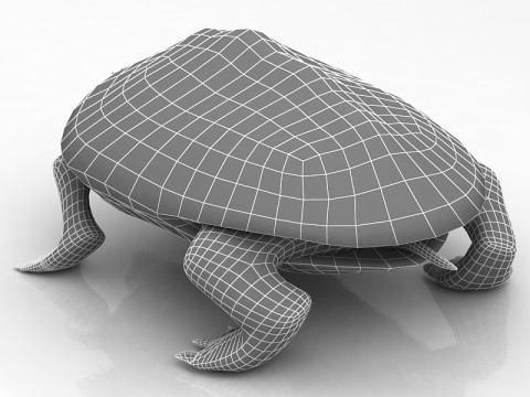 Tortuga boba Modelo 3D